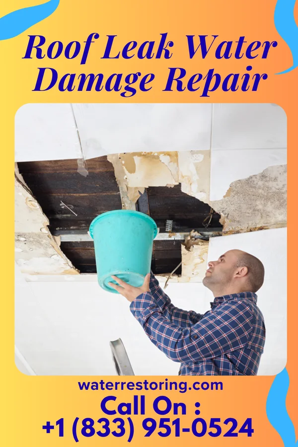 Roof Leak Water Damage Repair in Ridgway, IL